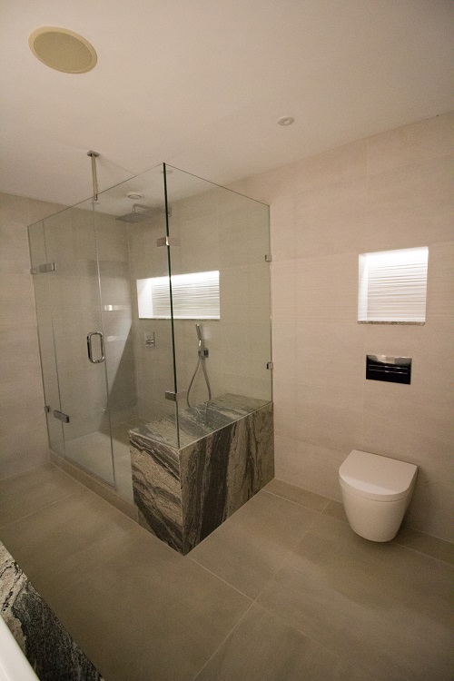 shower and toilet